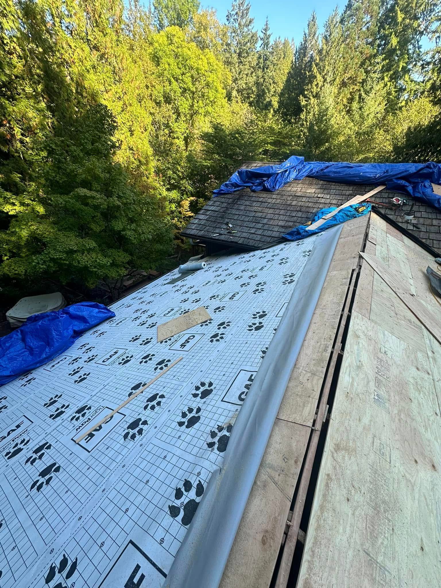 Roof in progress, with a blue tarp, white underlayment printed with paw prints, and surrounding trees.