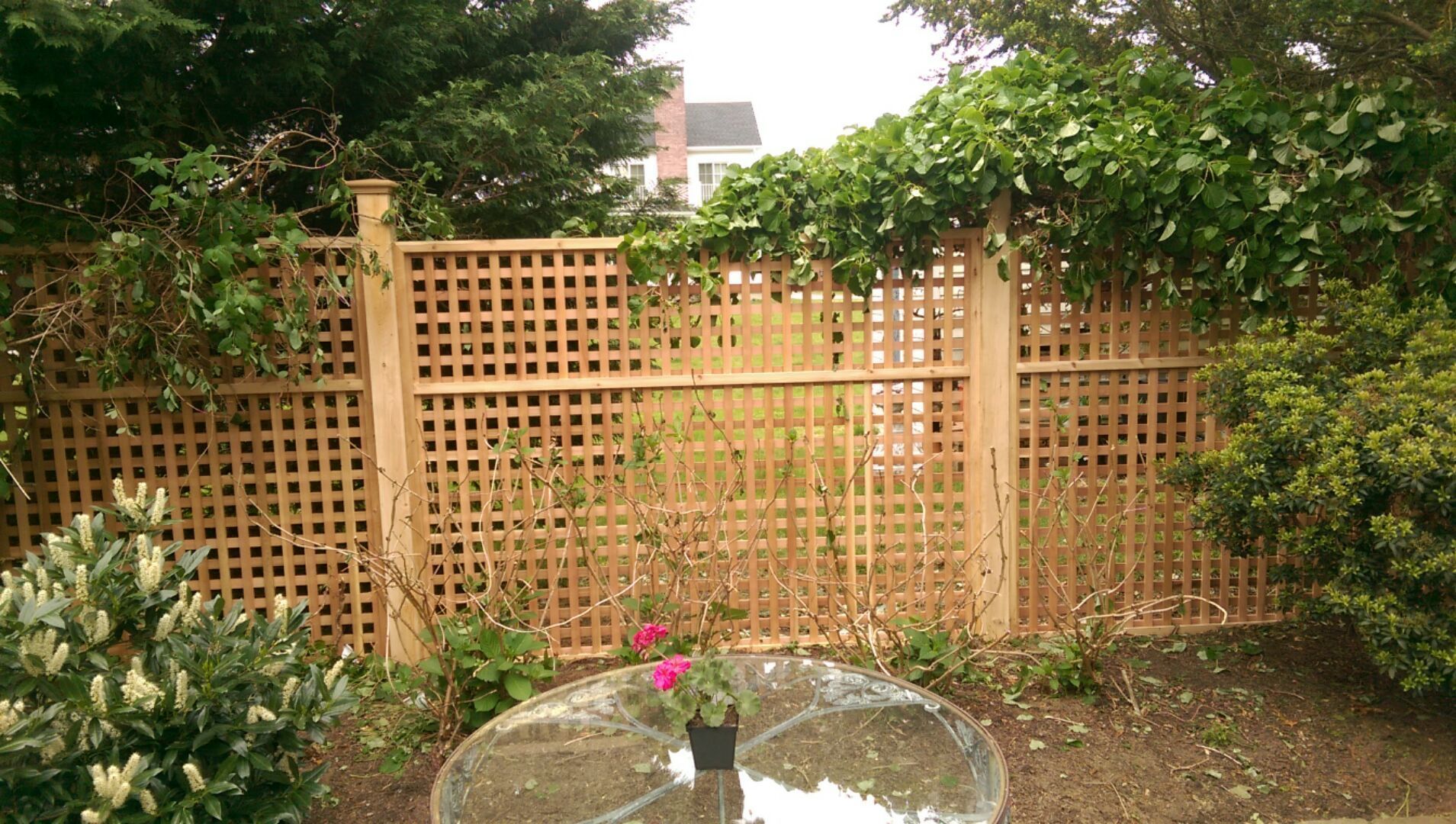 4+2 square cedar lattice semi private panel with cedar post