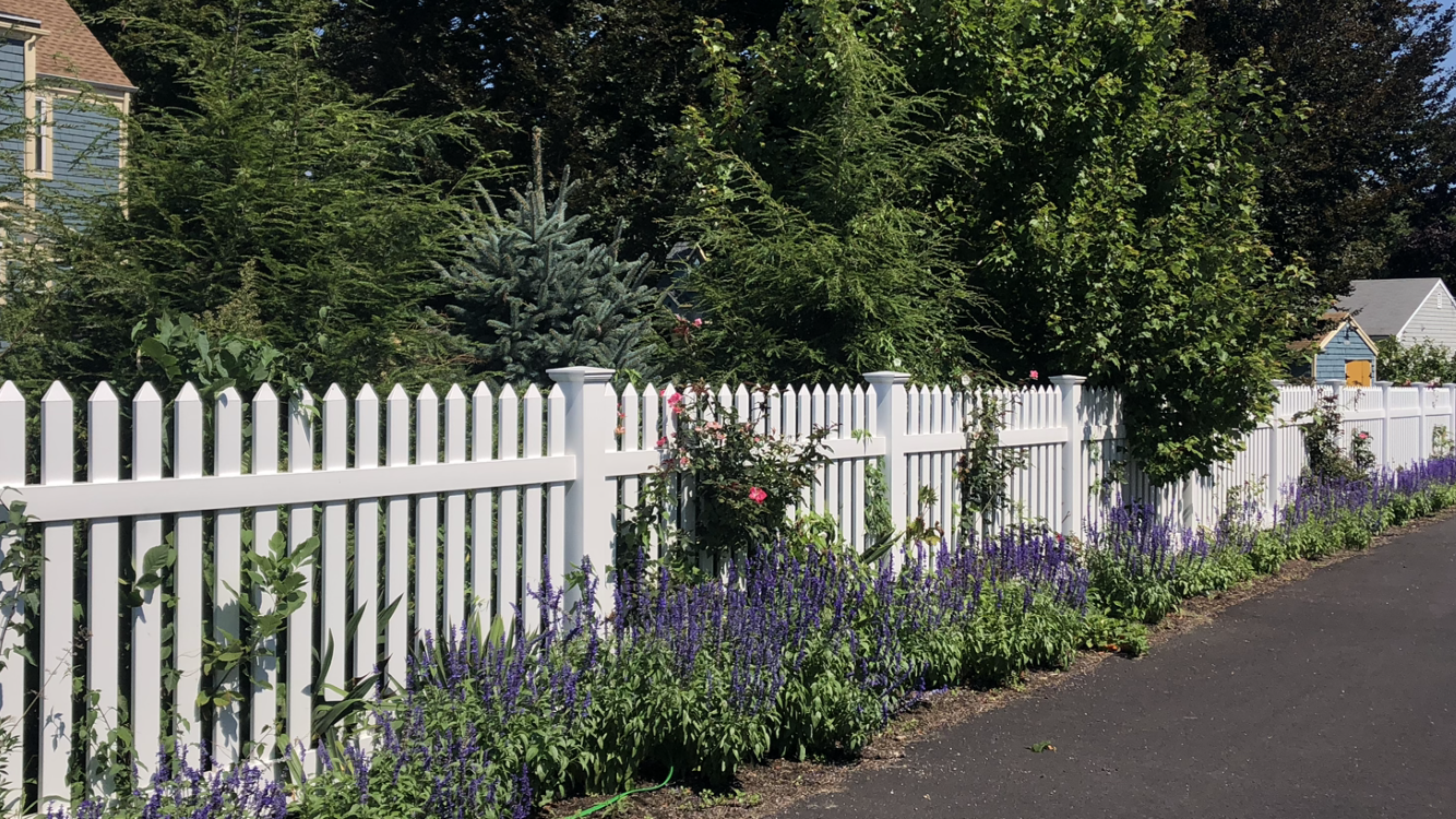 A white picket fence with purple flowers along the side of it
