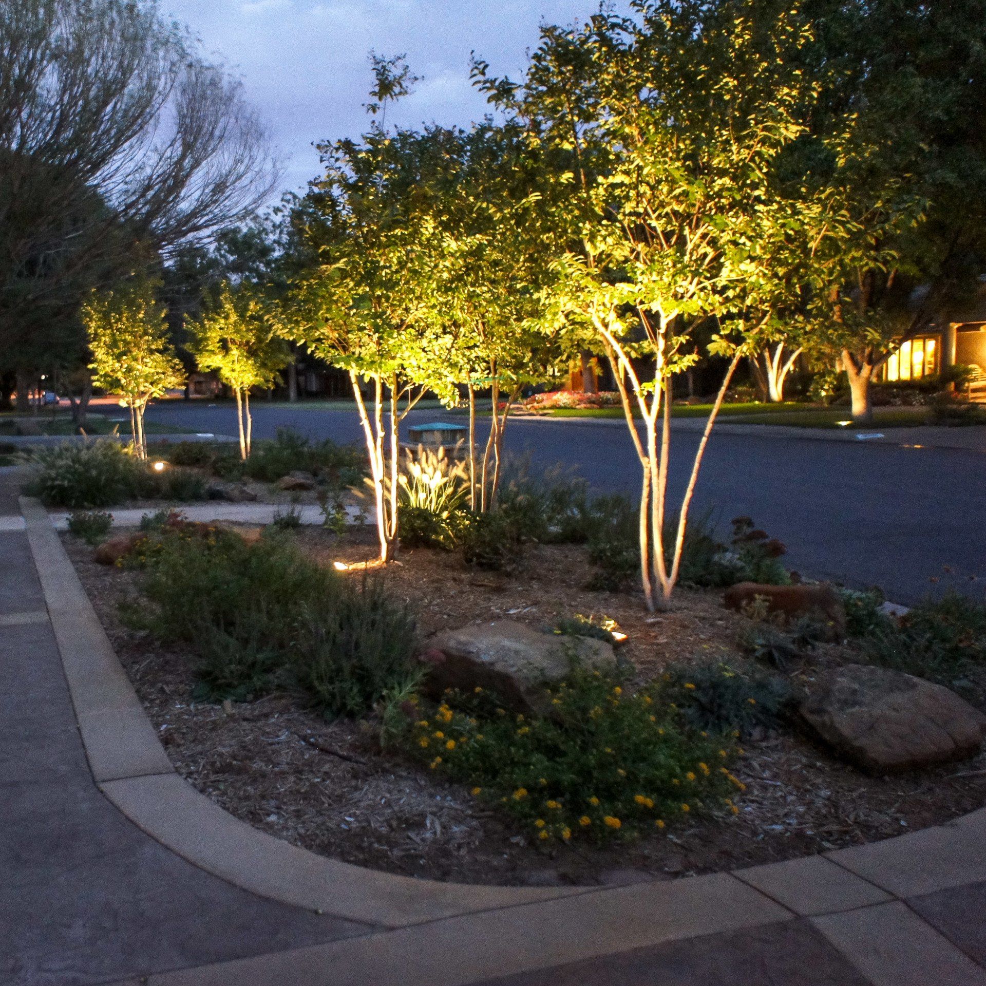 Landscape Lighting