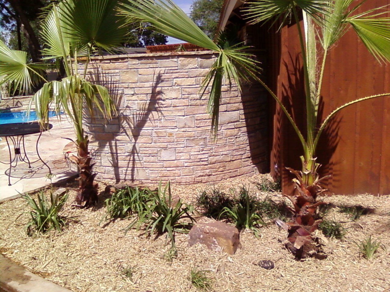 Xeriscaping