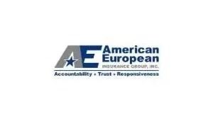 American European Insurance Group logo with blue and gray AE initials, star, and text: Accountability, Trust, Responsiveness.