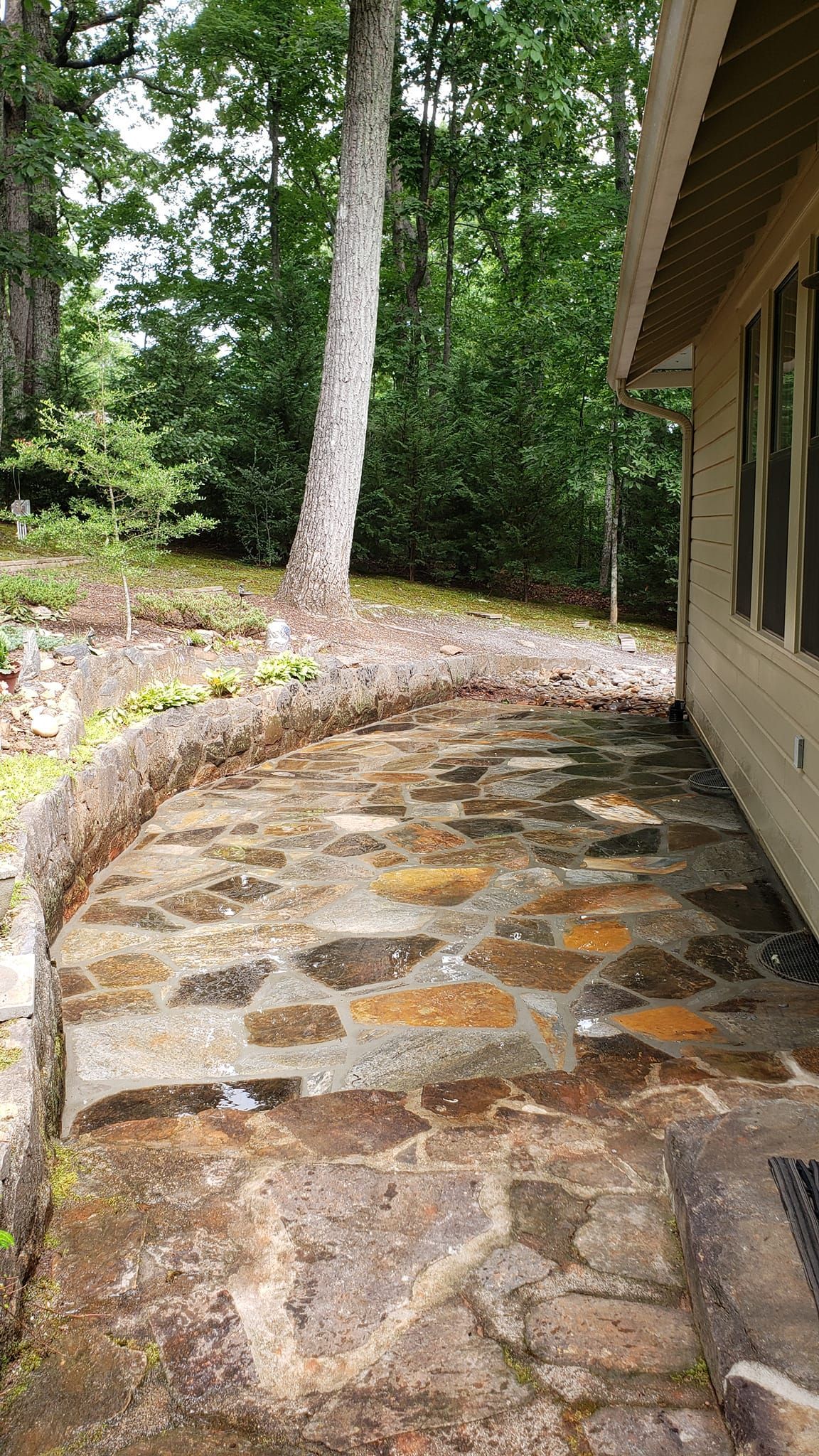 A stone walkway leading to a house in the woods