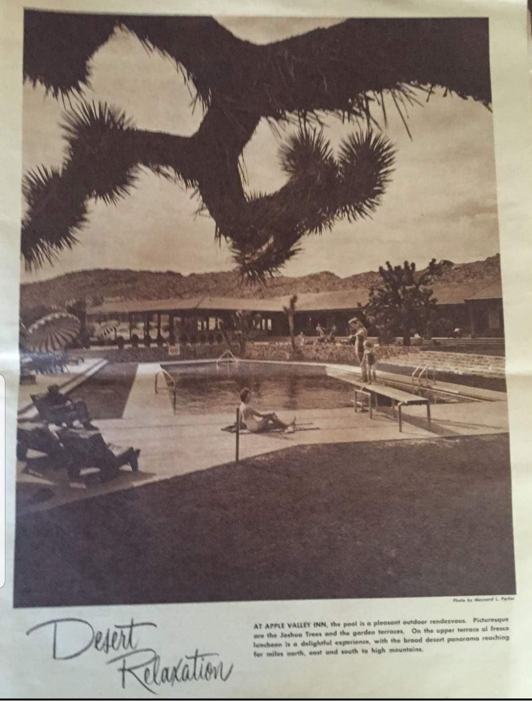 An advertisement for desert relaxation shows a swimming pool.