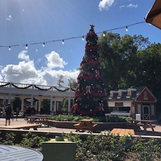 Christmas tree decorated with red bows and garland, in front of a small cottage, with picnic tables, on a sunny day.