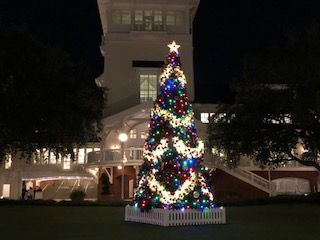 Christmas tree with white lights in front of a white building with a tower, at night.