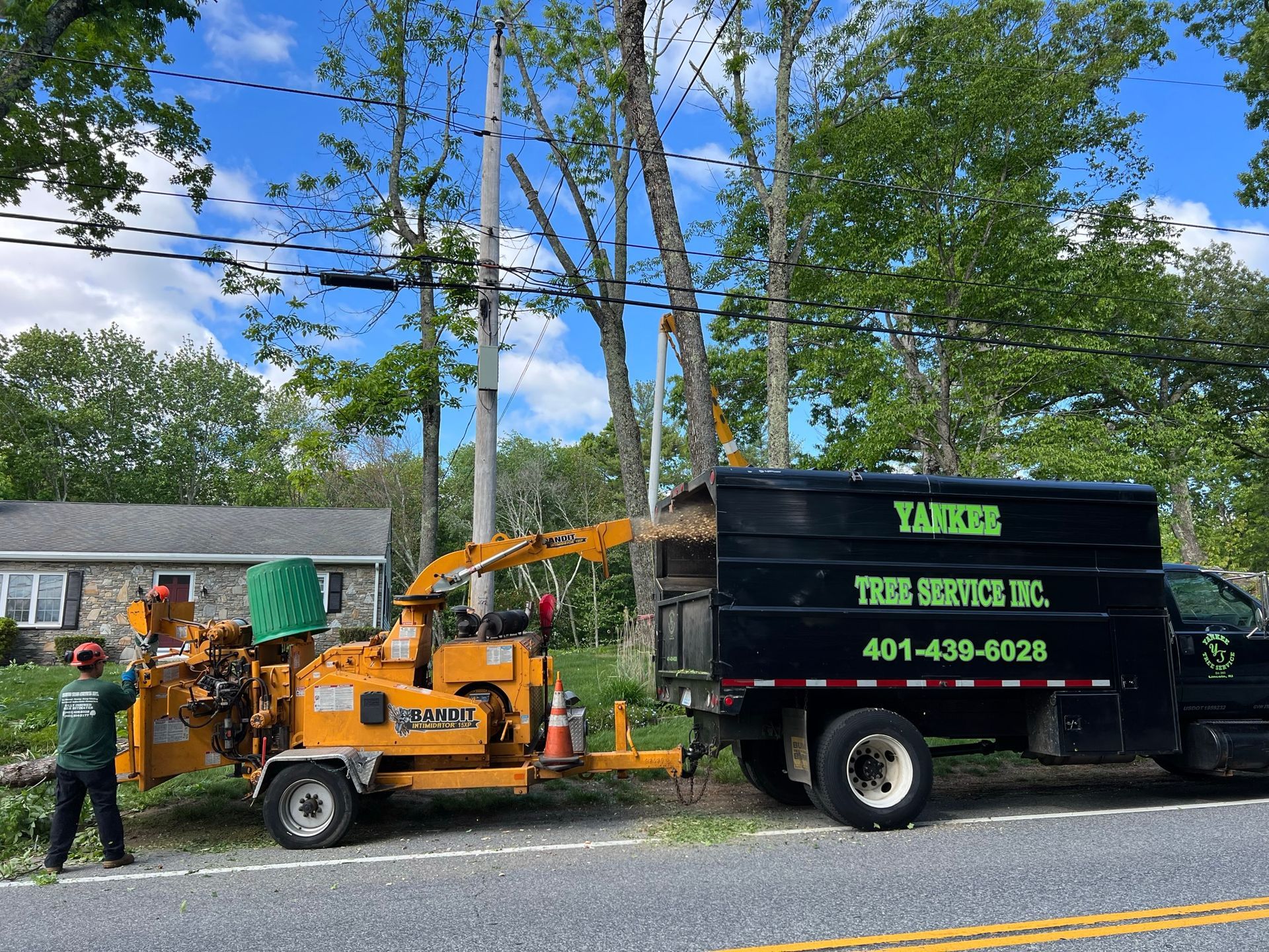 Yankee Tree Service recent project