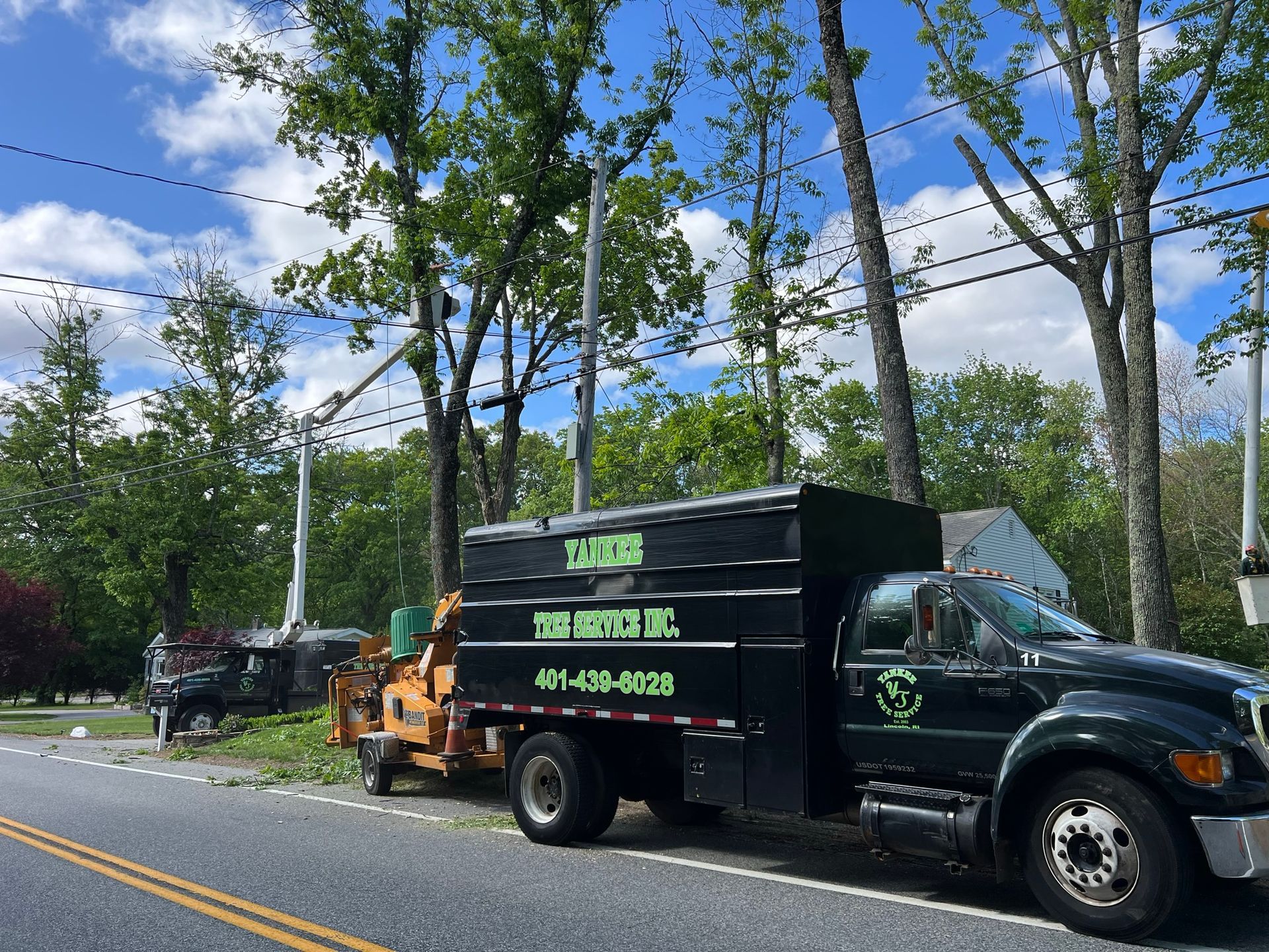 Yankee Tree Service recent project