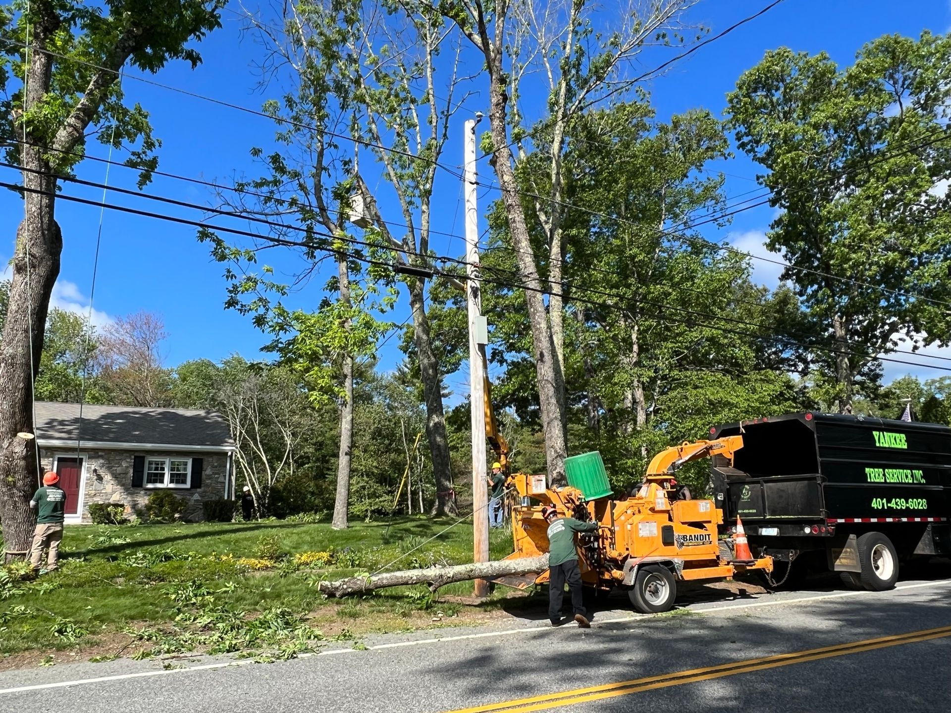 Yankee Tree Service recent project