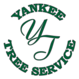 Yankee Tree Service - Logo