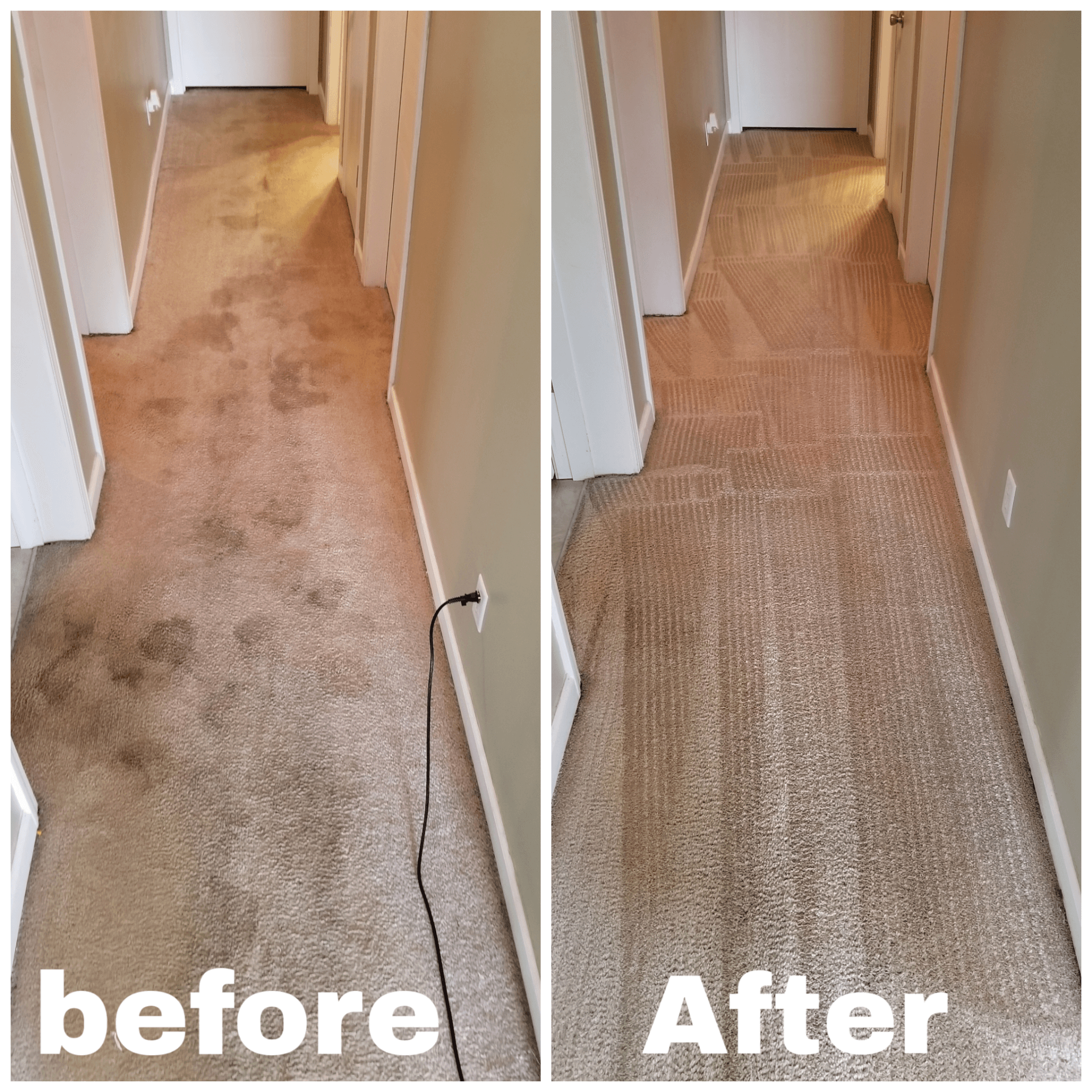 Buddy's Carpet Cleaning Carpet Cleaning Sevierville, TN