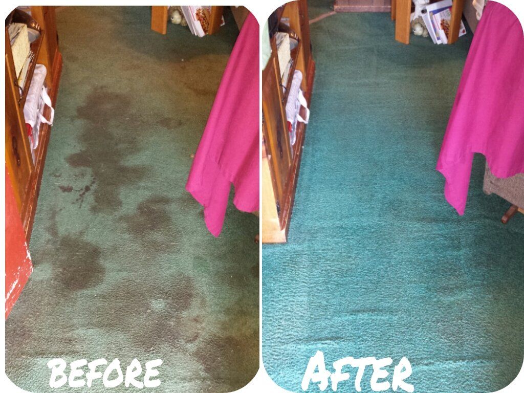Buddy's Carpet Cleaning Carpet Cleaning Sevierville, TN