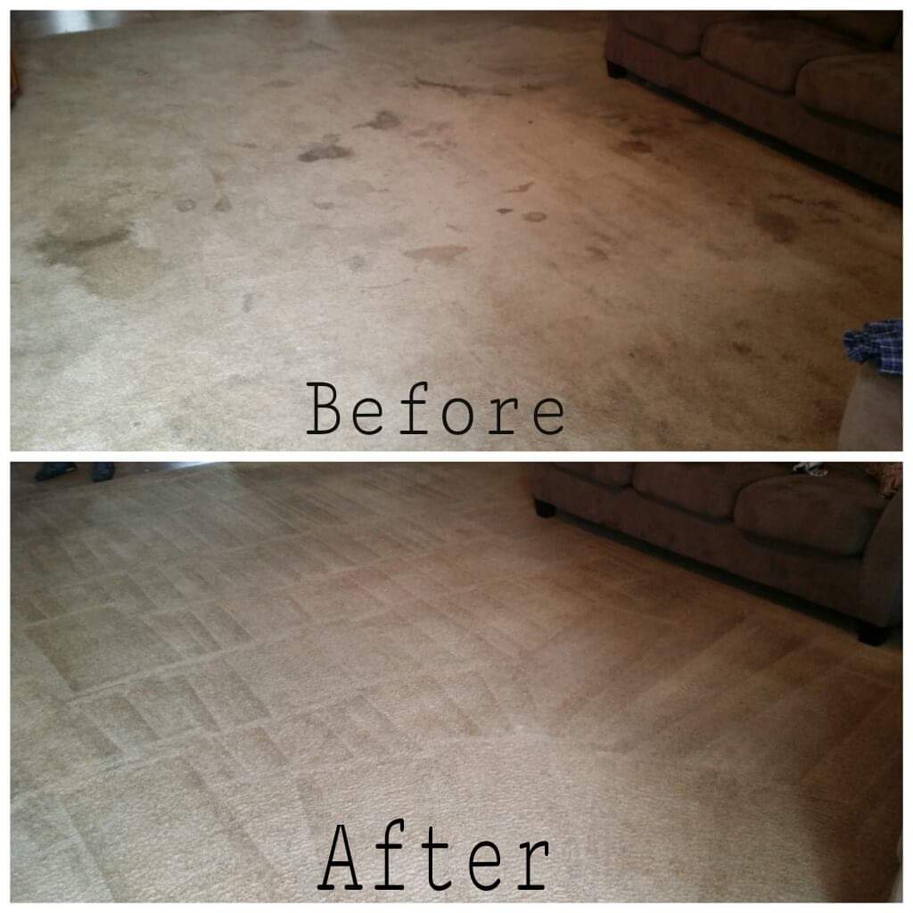 Buddy's Carpet Cleaning Carpet Cleaning Sevierville, TN