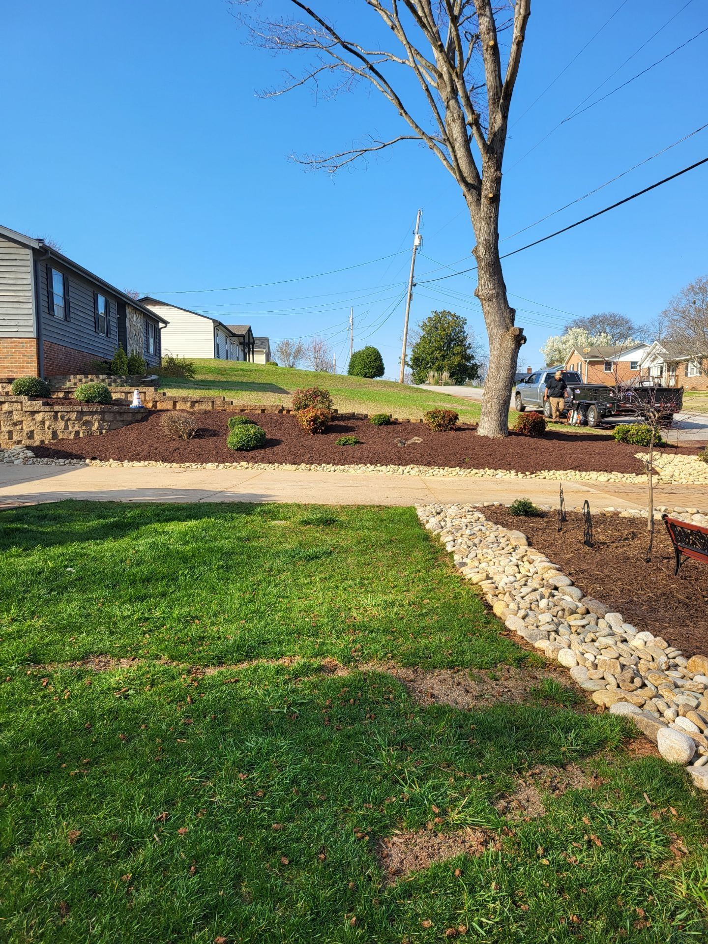 Landscaped yard with green lawn, stone edging, mulch beds, bare tree, and houses under a blue sky