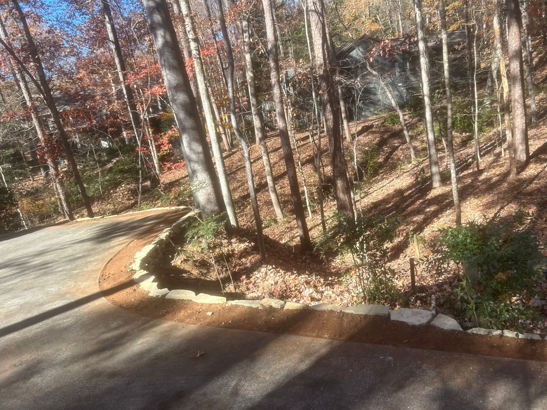 Curving forest road with leafless trees and fallen autumn leaves in sunlight