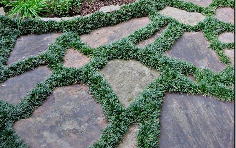 Stone stepping path with green ground cover between large irregular pavers