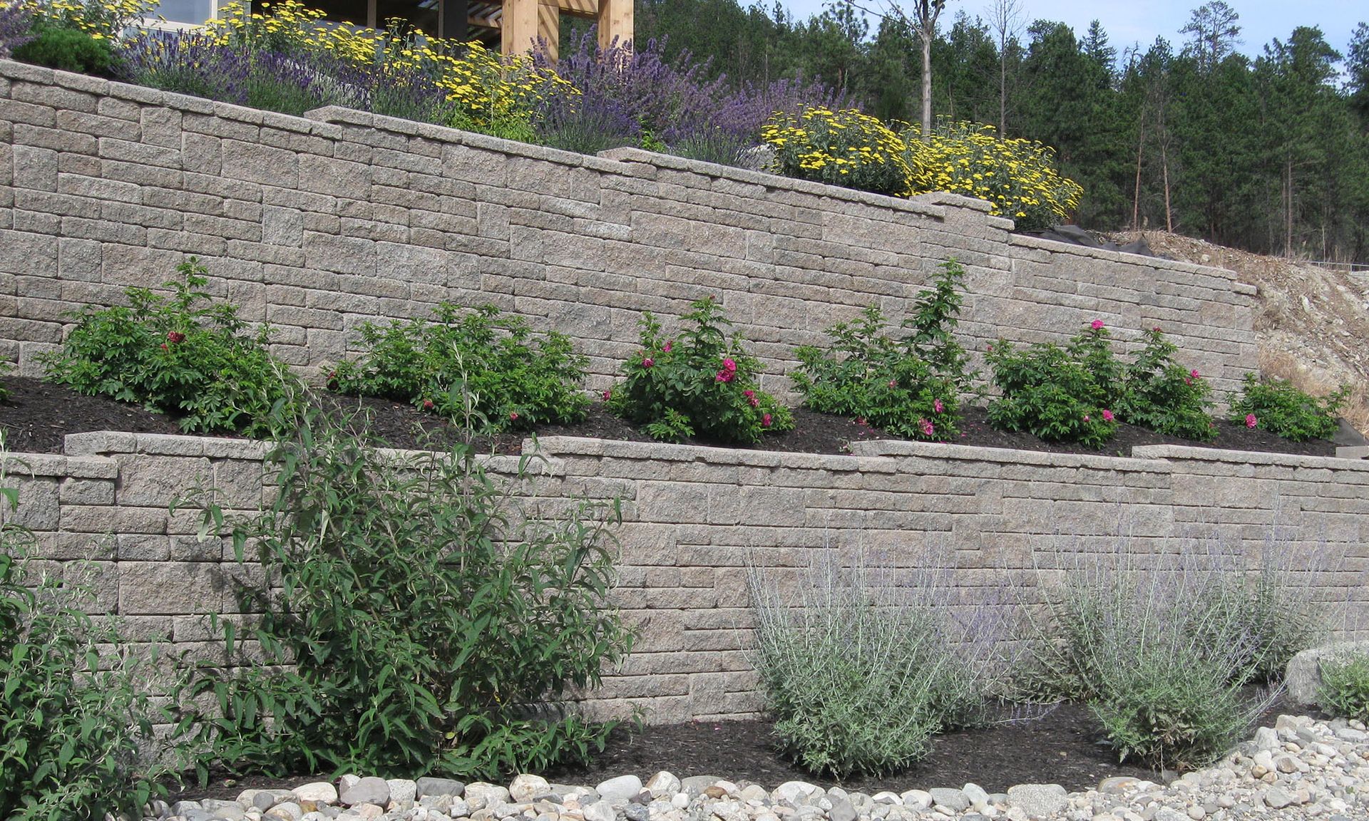 Stone terraced garden with shrubs and flowering plants on a sloped hillside