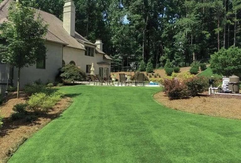 Lush green backyard lawn beside a house, with trees, shrubs, and a patio area.