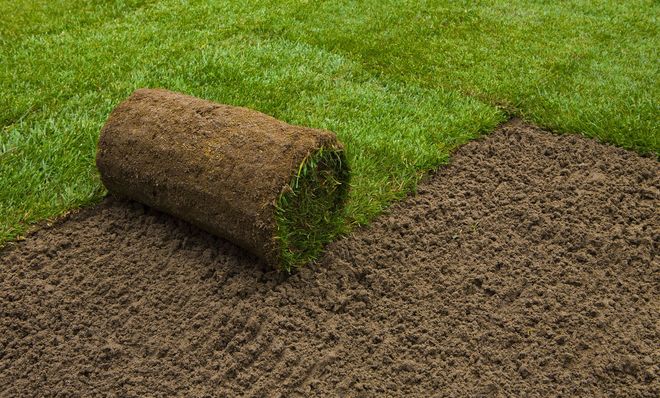 Simply Sod & Landscaping