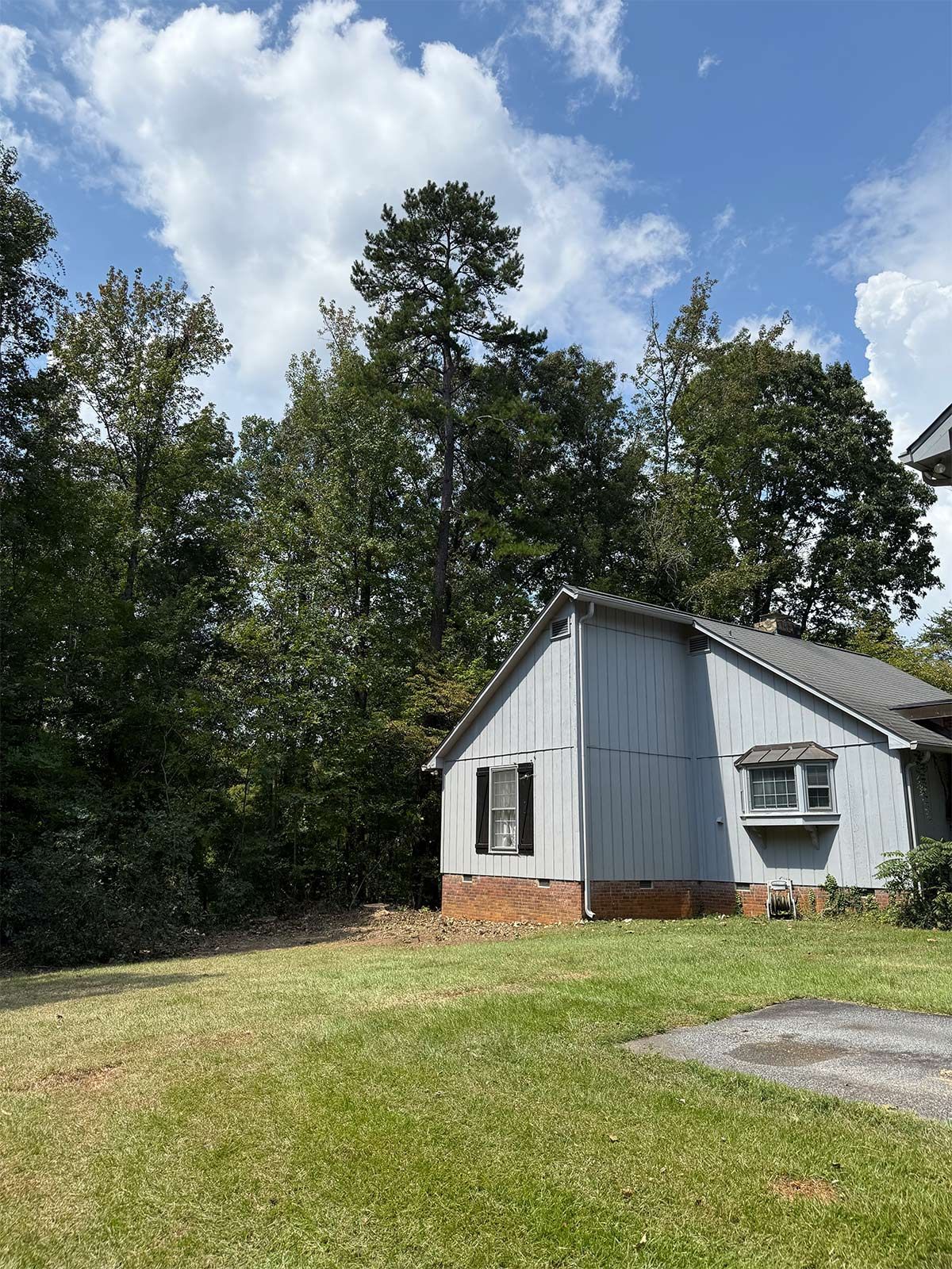 Residential tree removal - after