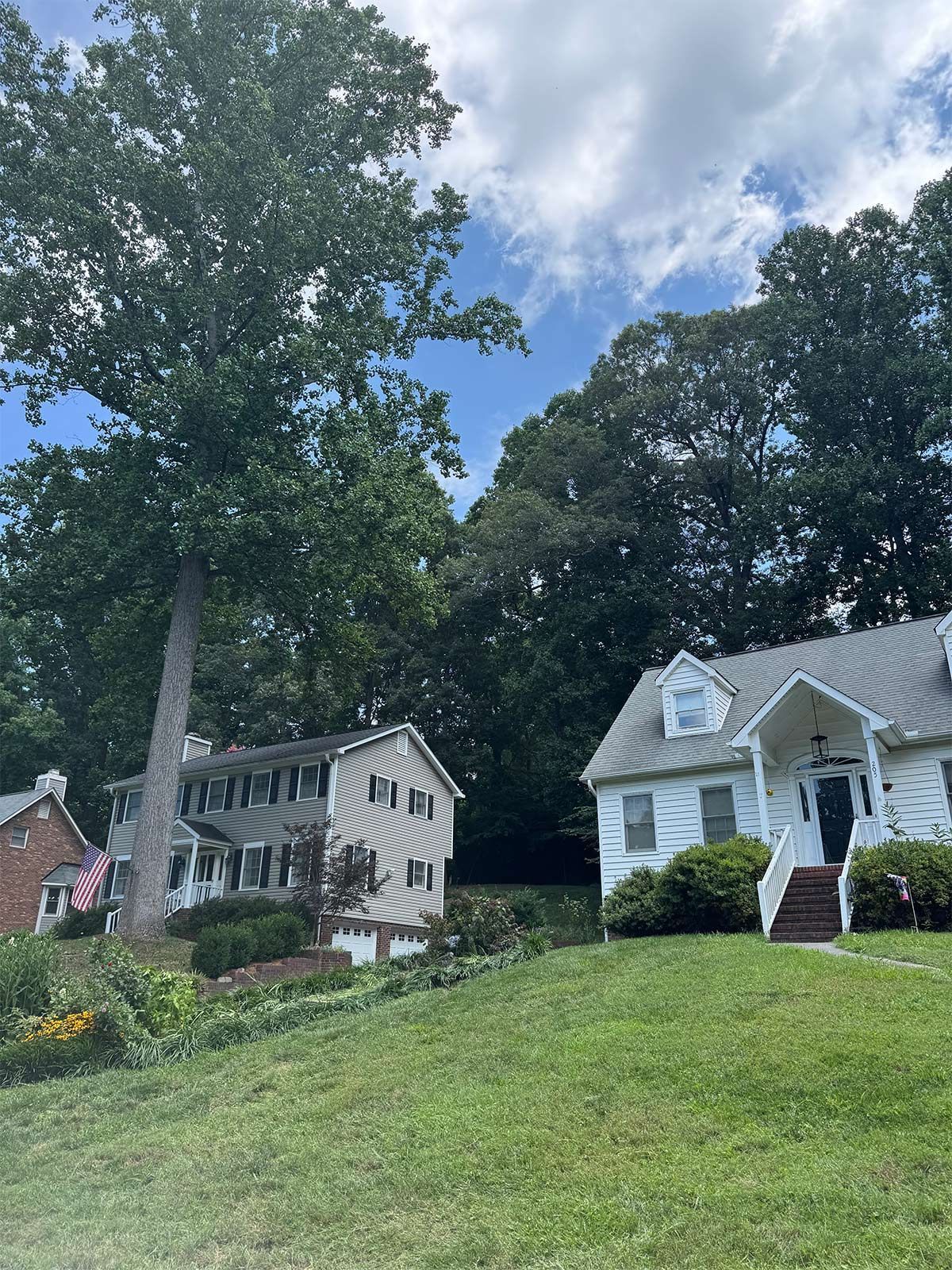 Residential tree removal - after