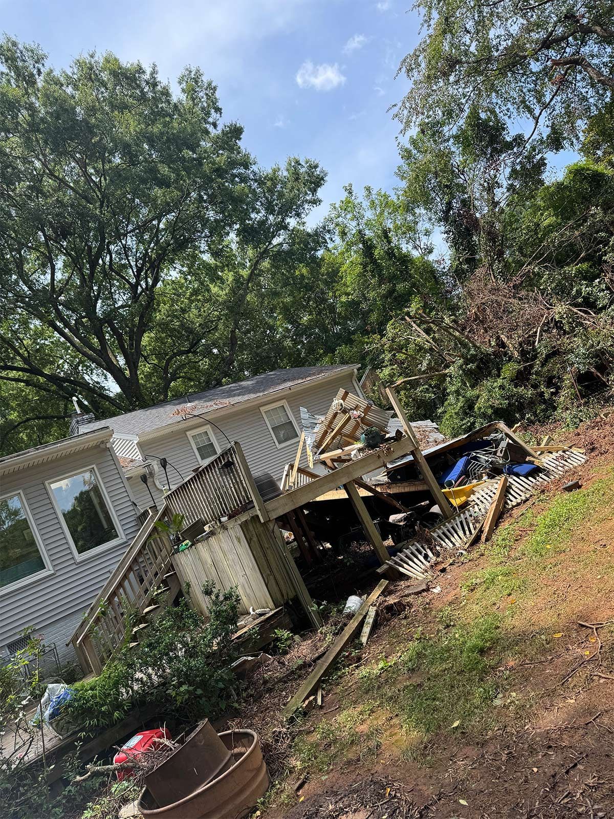 Residential tree removal - after