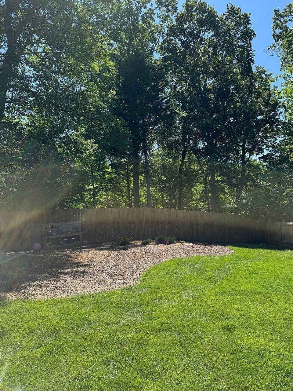 Residential tree removal - after