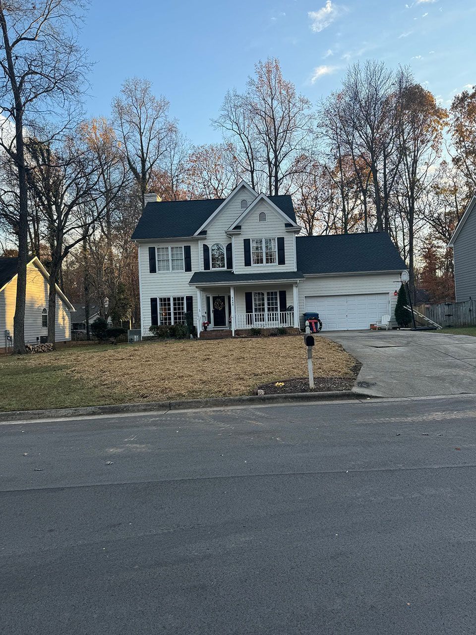 Residential tree removal - after
