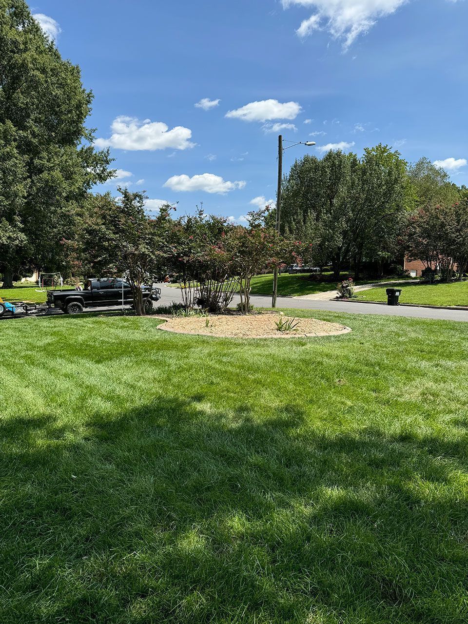 Residential tree removal - after