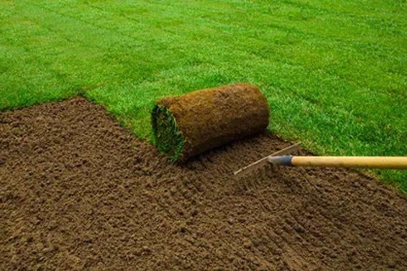 A roll of turf is being rolled on top of a pile of dirt next to a rake.