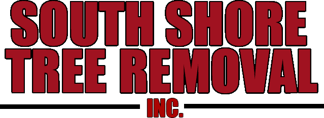 South Shore Tree Removal Inc