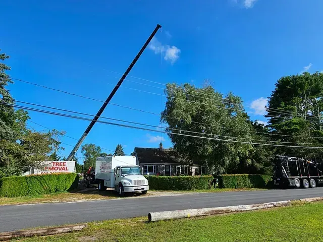 Tree removal truck with extended crane next to house, blue sky.