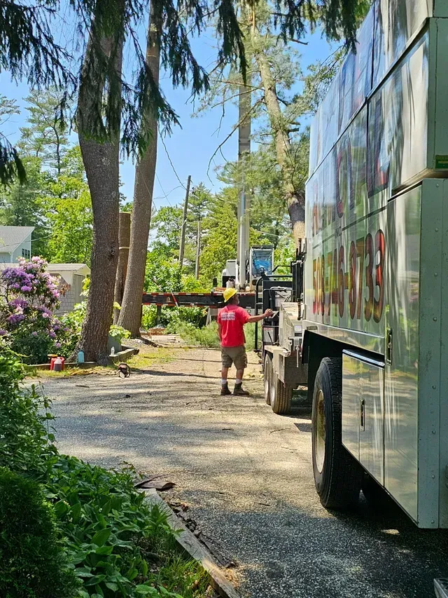 Man in red shirt directs truck near trees on sunny day.