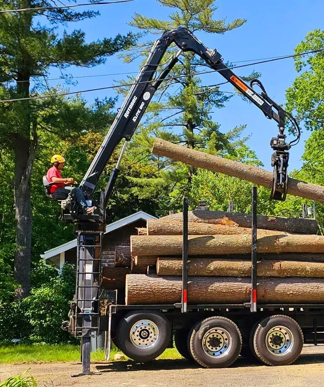 Truck with crane loading logs. Operator in cab. Bright sunny day.