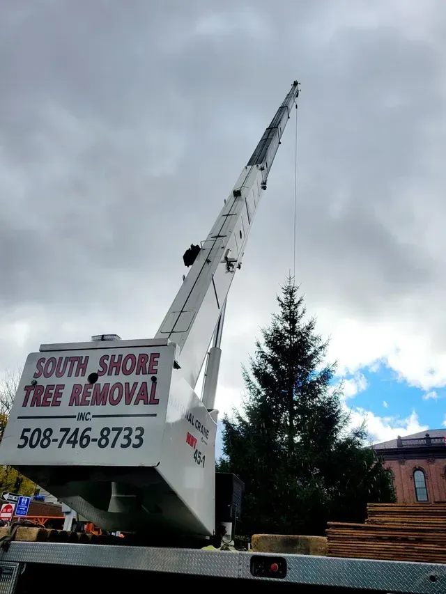 A crane from South Shore Tree Removal lifting a fir tree, cloudy sky.