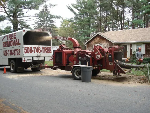 Tree removal truck and chipper on a street. A worker uses a chainsaw near a house.