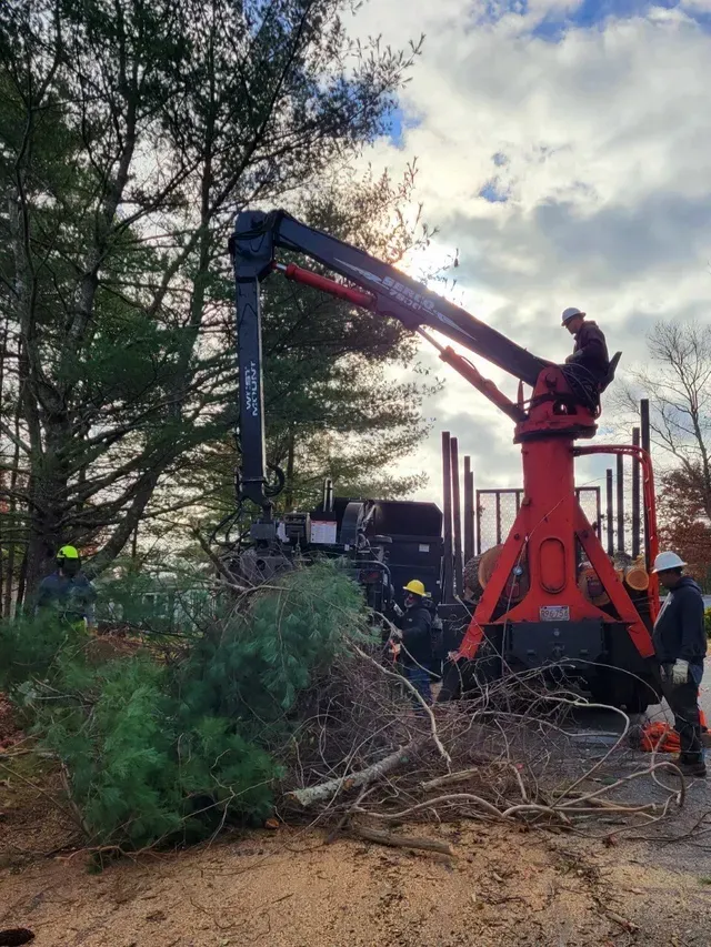 Workers using a crane to move branches. Red crane and truck in wooded area.