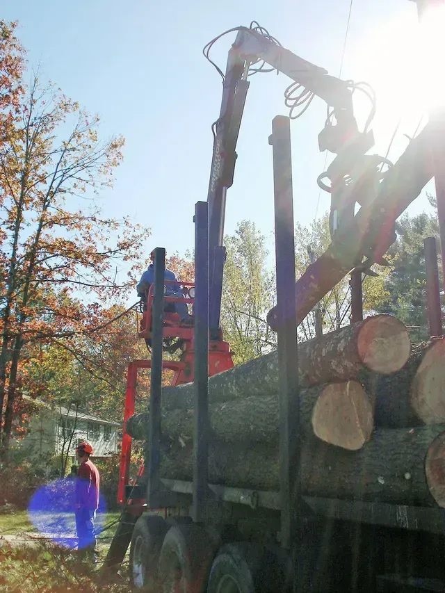 A truck loading logs with a crane on a sunny day. Worker operating crane; another standing nearby.