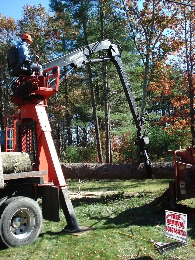 Man in lift trimming tree trunk. Truck, tree chipper and sign on grass. Bright sunny day.