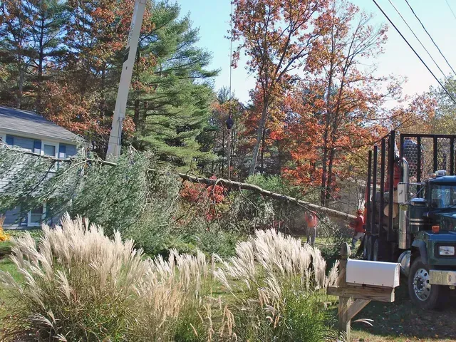 A tree branch being loaded onto a truck by a utility worker next to a house and mail box.