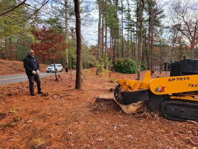 Man watches stump grinder. Yellow machine grinding tree stump on a roadside.