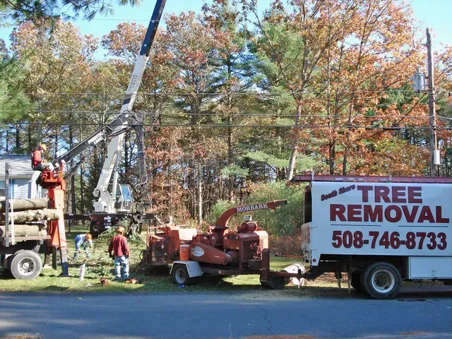 Tree removal service in action: Crane lifting logs, wood chipper, workers, truck, trees.