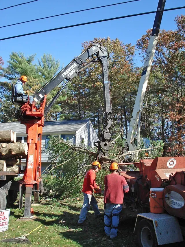 Tree trimming crew using machinery to cut and chip branches near a house.