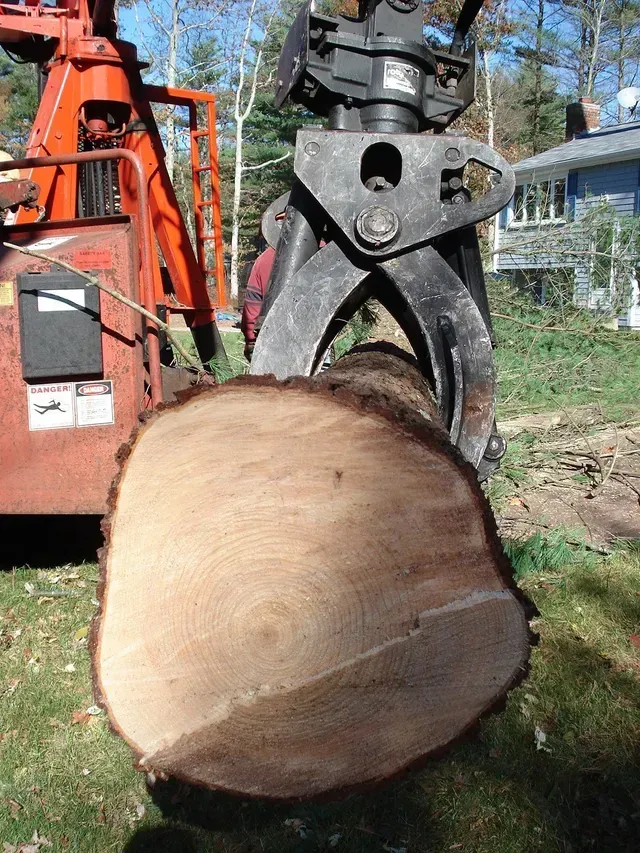 Tree log held by a large grapple claw in front of an orange lift.