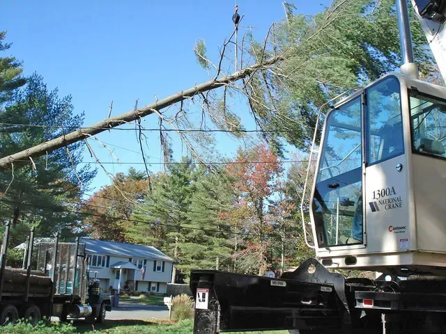 Crane lifting a large tree branch on a sunny day near a residential area.