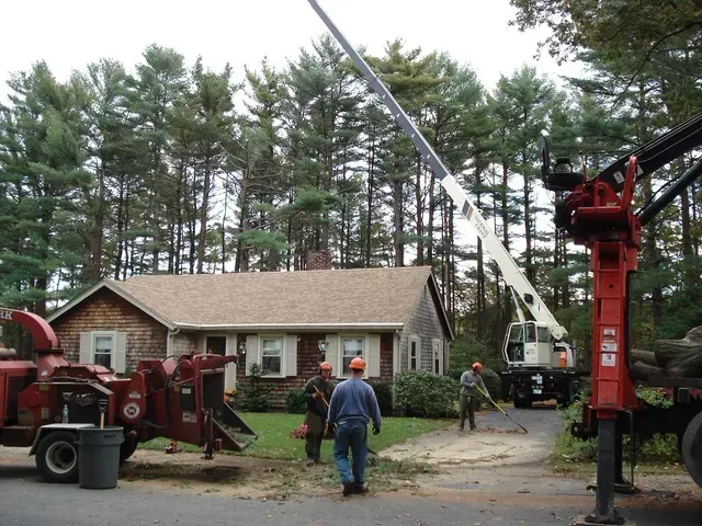 Tree removal in progress near a house; crane, chipper, workers with safety gear, trees, and blue sky.