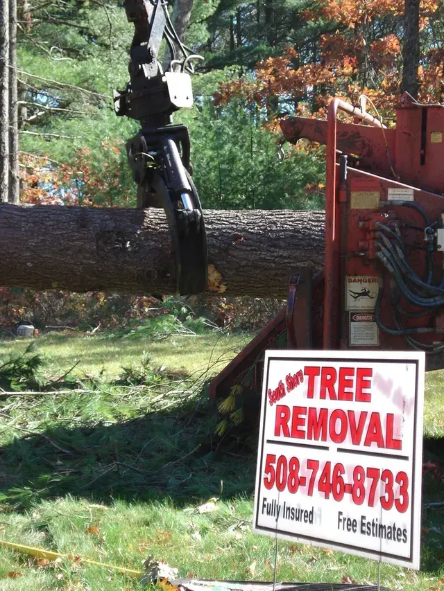 A tree being removed by a machine. Sign for tree removal company.