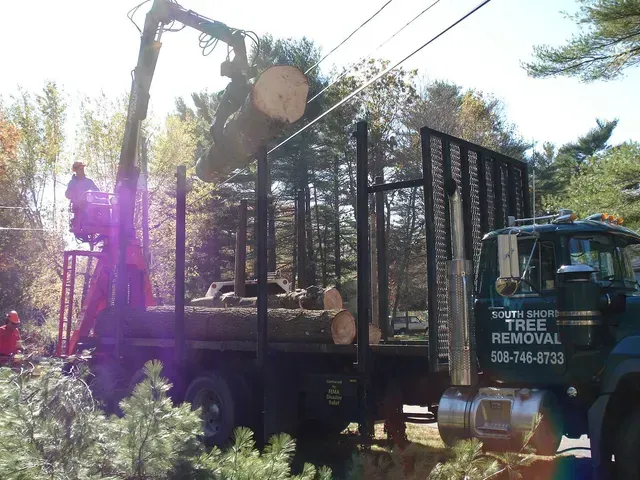 A crane loading tree logs onto a truck; worker in lift assisting.
