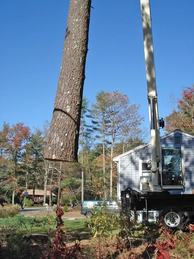 Crane lifting a large tree trunk; a blue house and autumn trees are in the background.