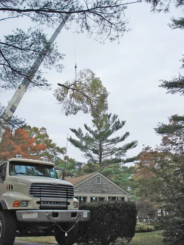 Truck crane trimming a tree branch on a cloudy day, residential setting.